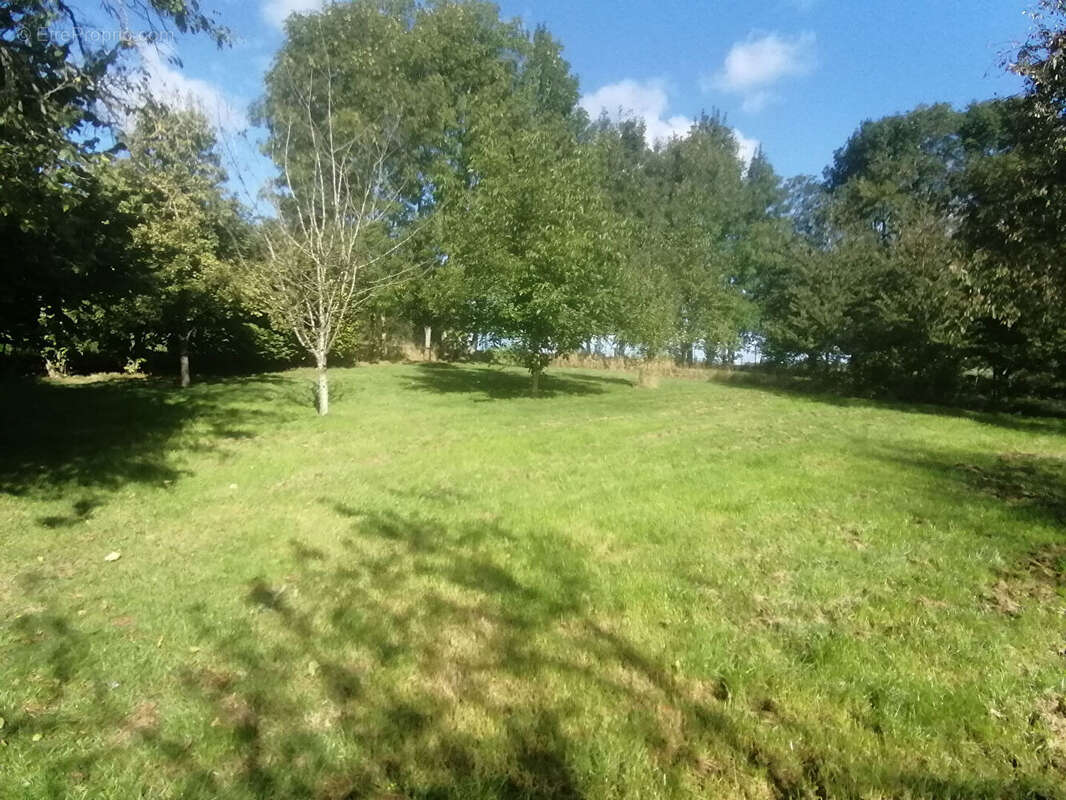 Maison à MARFONTAINE