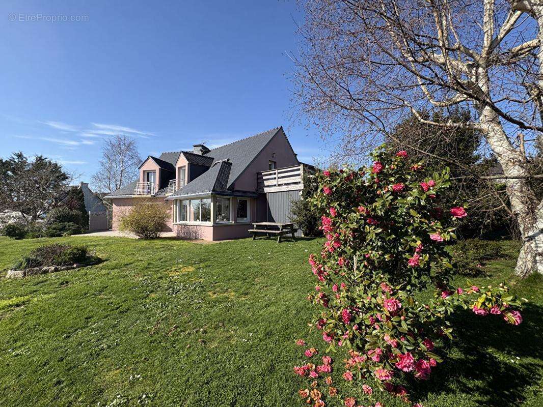 Maison à MOELAN-SUR-MER