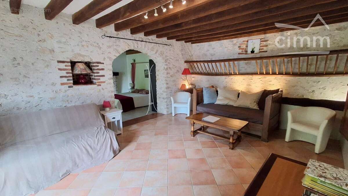 A VENDRE, Vineuil, propriété de charme avec chambres d'hôtes, gites et piscine - photo 16