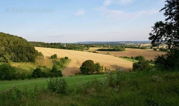 Terrain à BELLEVILLE-SUR-VIE