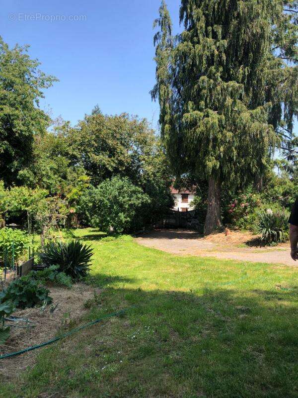 Maison à BETON-BAZOCHES