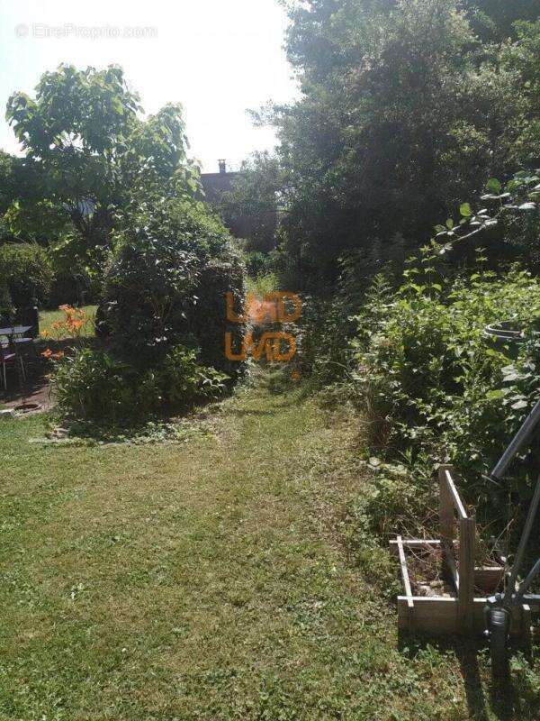 Appartement à MULHOUSE