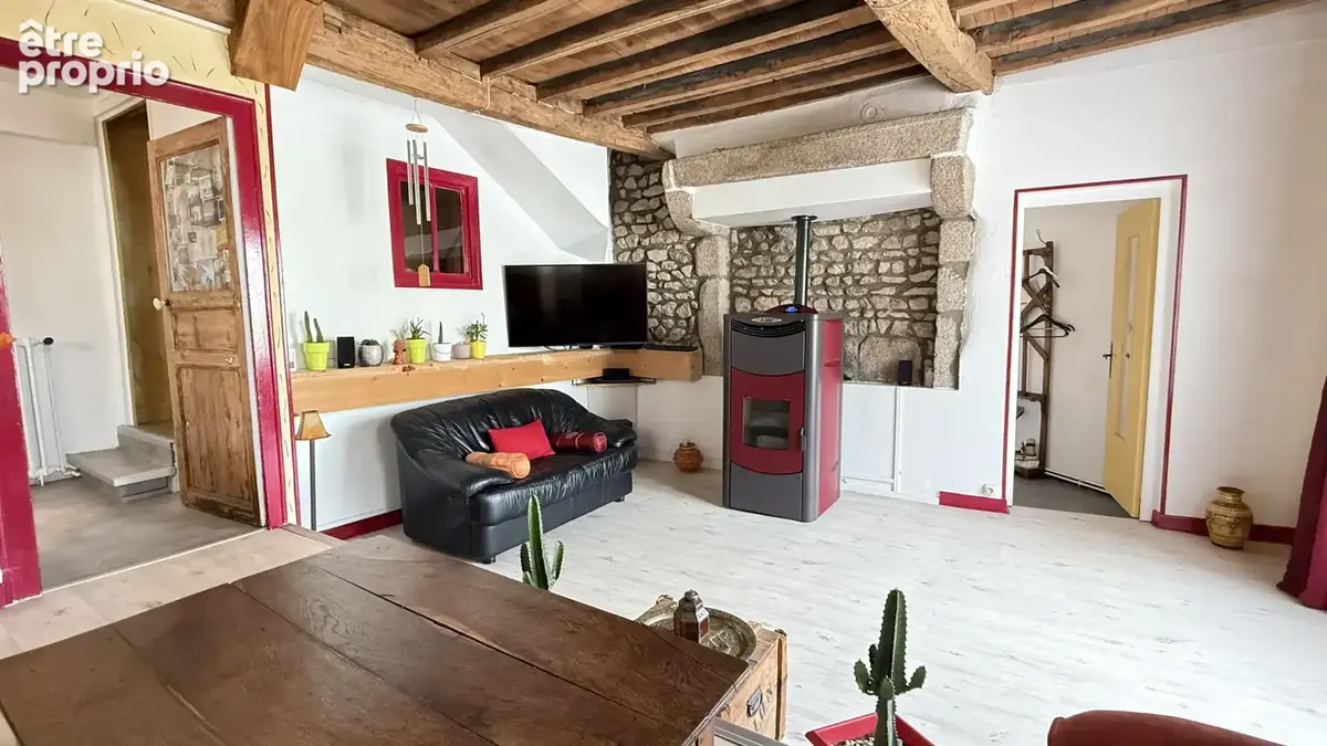 Grande maison de village rénovée avec dépendance et jardin - photo 18