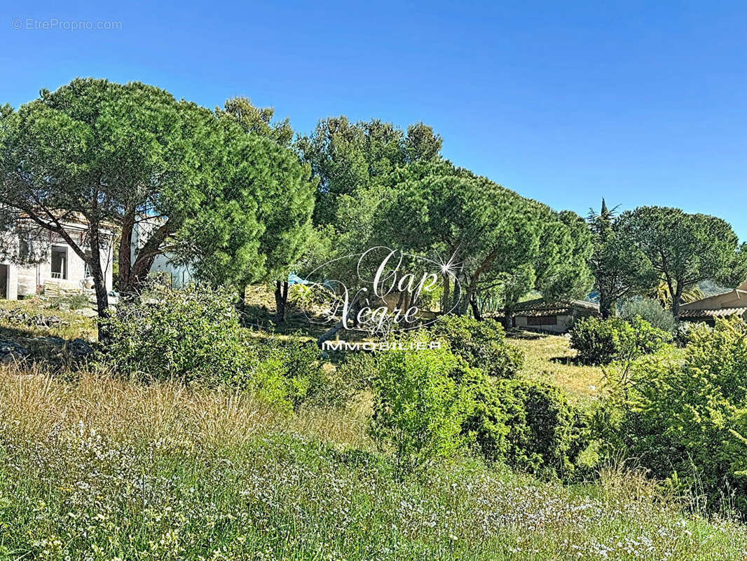 Terrain à BORMES-LES-MIMOSAS