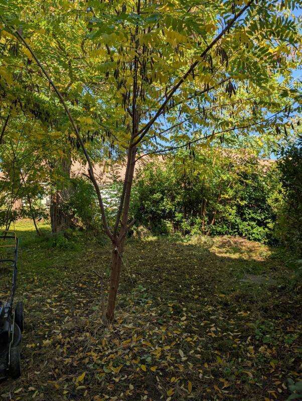 Maison 80 m² à Souvigny  - photo 9