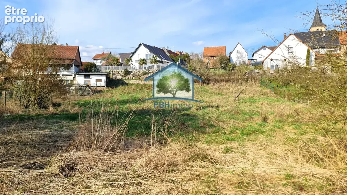 Preuschdorf (67) - maison 138 m² sur 18,7 ares - photo 4