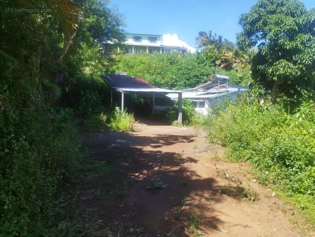 Maison à PETITE-ILE