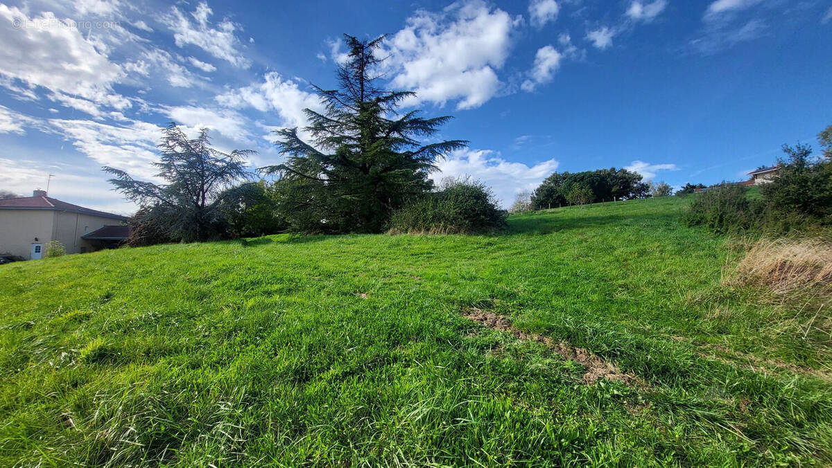 Terrain à MOISSIEU-SUR-DOLON