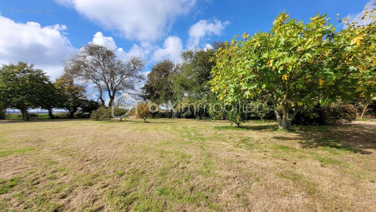 Maison à MONTFARVILLE