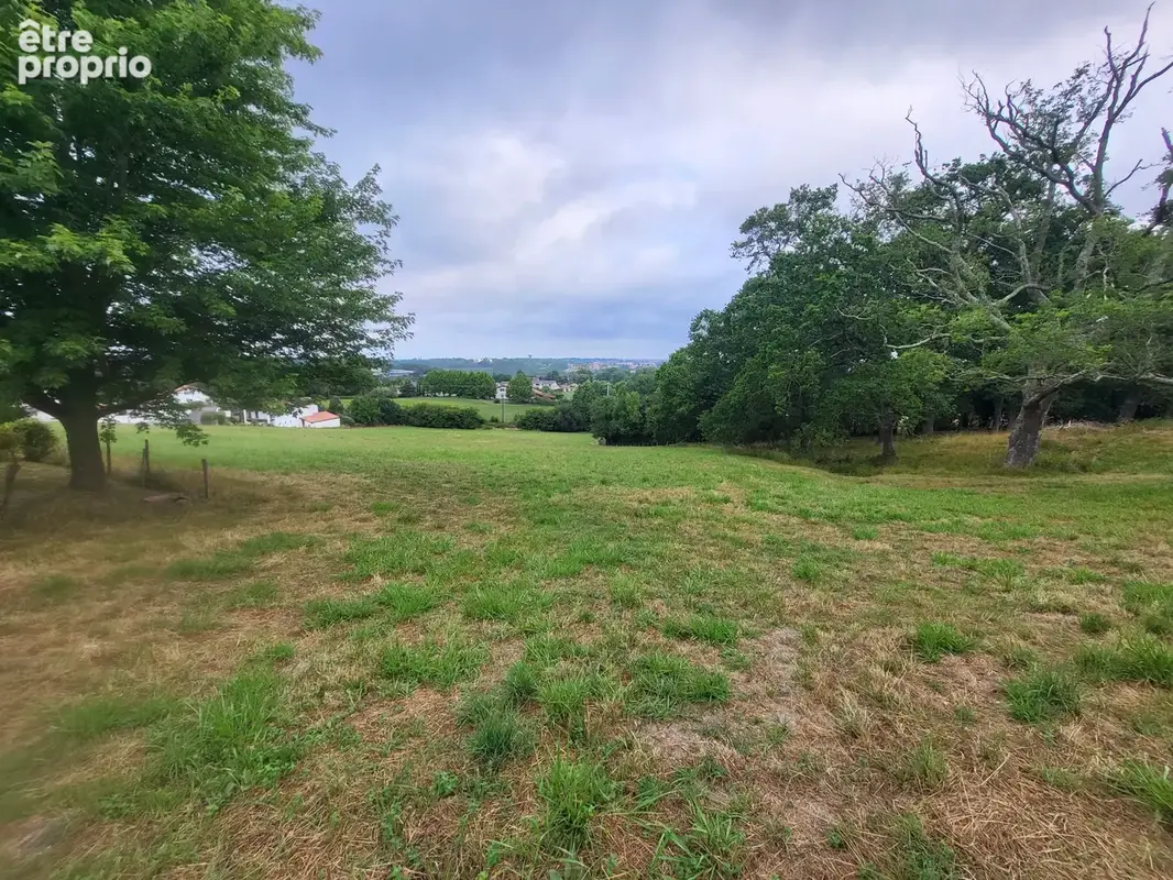 Terrain à SAINT-PIERRE-D'IRUBE