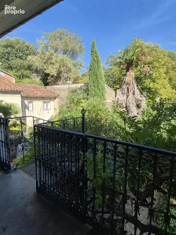 Centre historique d'Auch, Maison bourgeoise d'exception et son écrin de verdure - photo 22