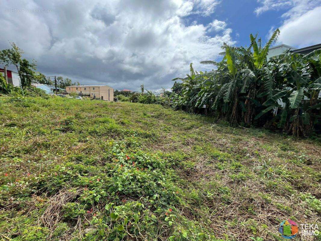 Teka immo vous propose a vendre des parcelles de 300m²  sur st benoit, a moins de 5 minutes du gher, ile de la reunion - photo 6