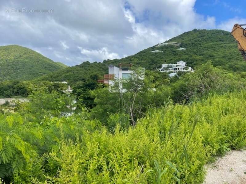 Terrain à SAINT-MARTIN