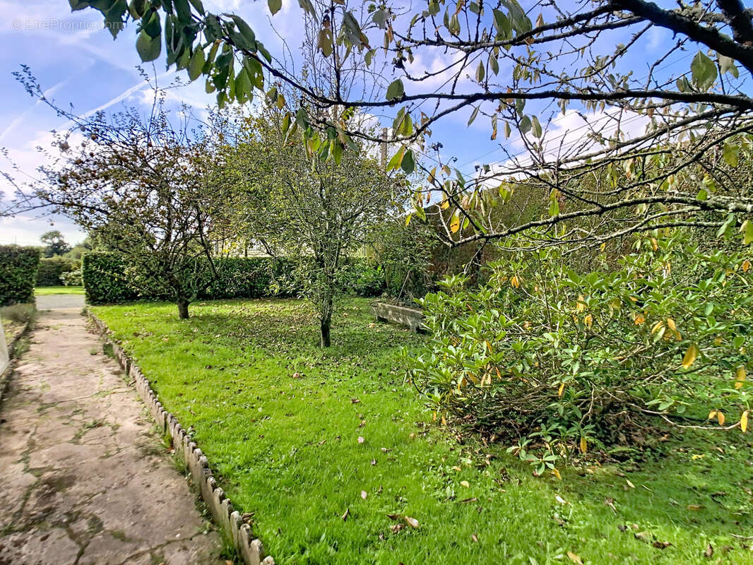 Maison à BESNEVILLE