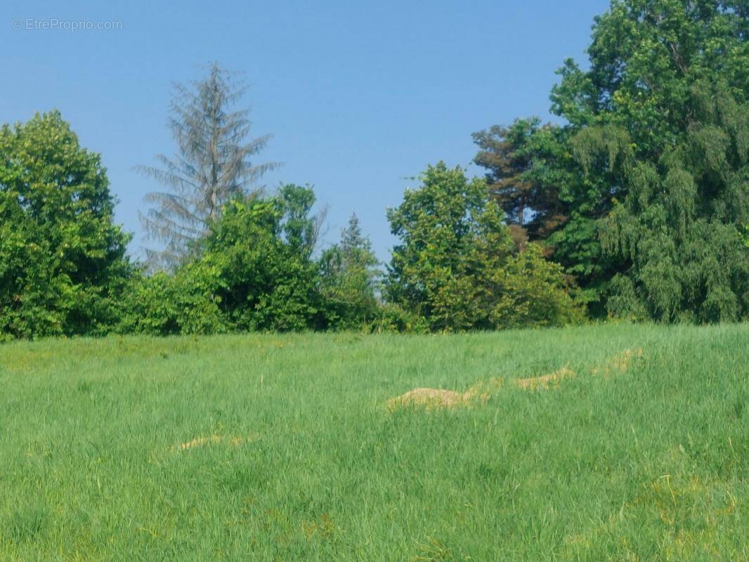 Terrains a primarette - photo 3
