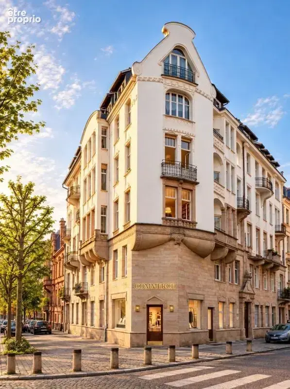 Photo Commerce à Strasbourg au prix de 749 000€