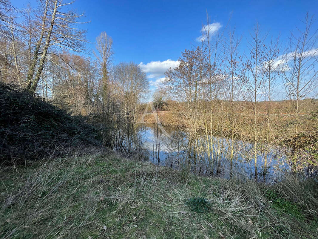 Terrain contructible - 1943 m2 - photo 3