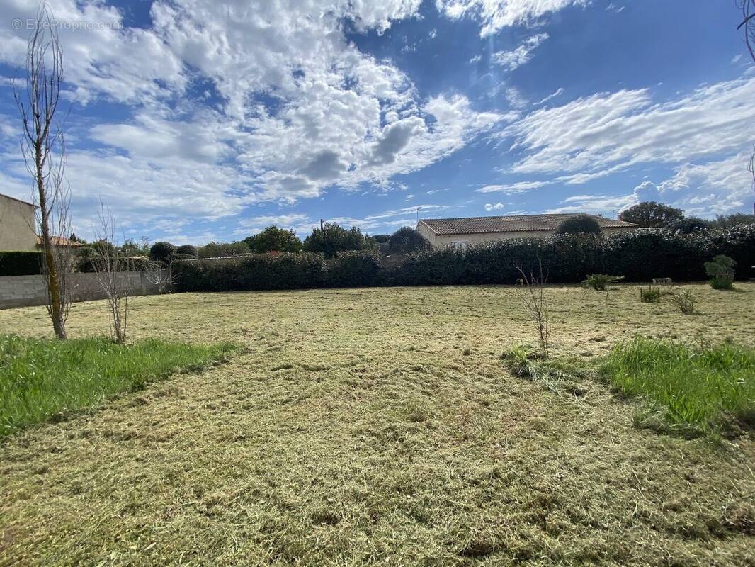 MARSEILLAN - belle parcelle arborée de 650m² - photo 4
