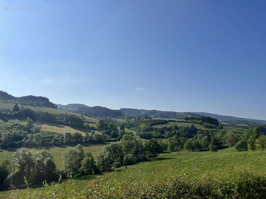 Photo 5 - Maison à CUBLIZE