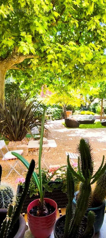 Maison à LA BASTIDE-DES-JOURDANS