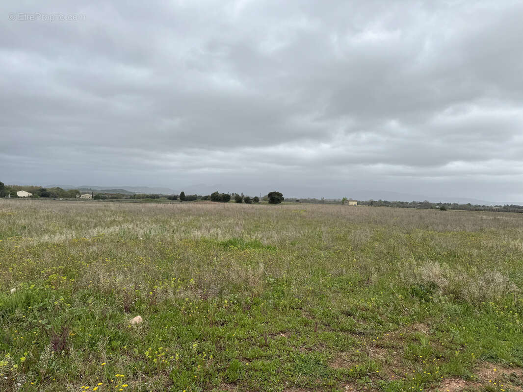 Terrain à SAINT-ANDRE-DE-SANGONIS