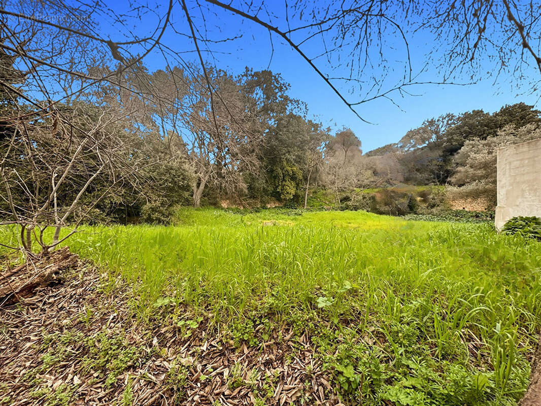 Terrain à MARSEILLE-13E