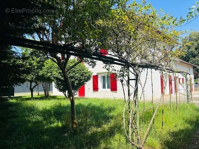 Maison à SAINT-GEOURS-DE-MAREMNE
