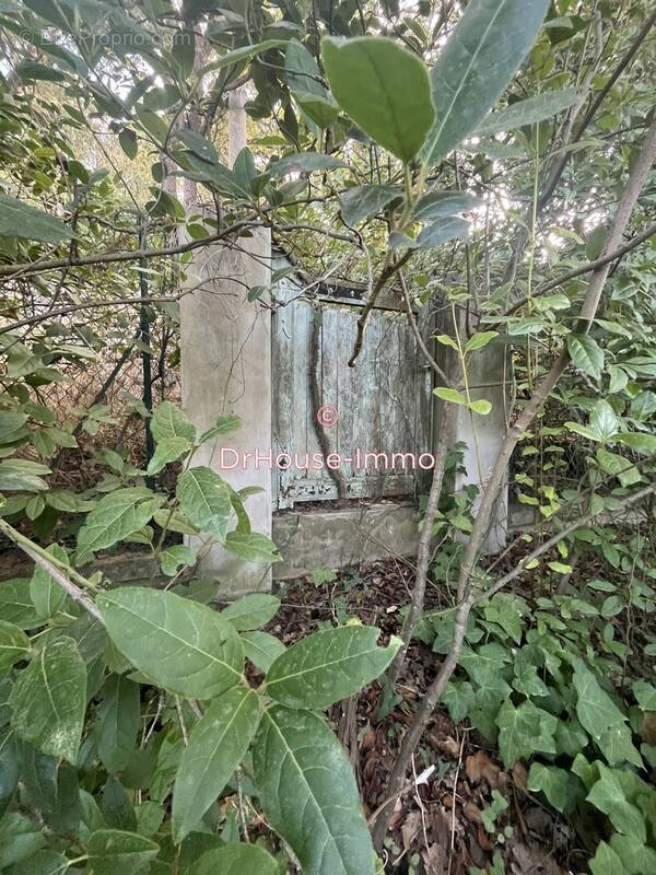 Terrain à LE PRADET