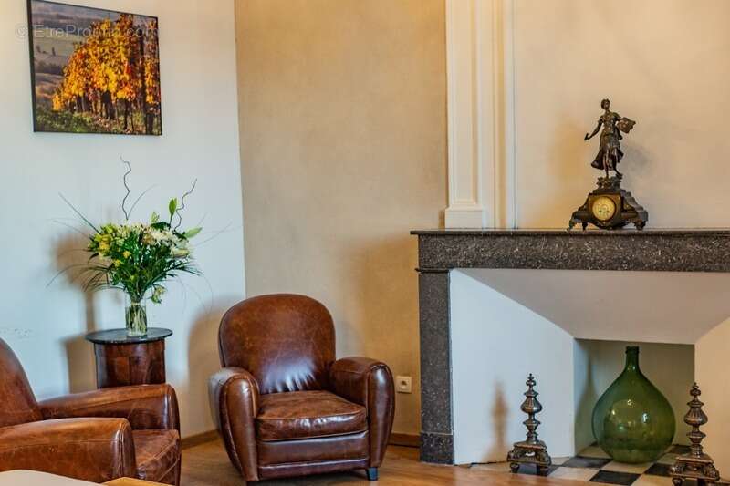 Dpt  (32) : ELEGANT CHATEAU XIX, sans travaux, bases médievales avec douves, piscine, sur 9100m2 jardin clos - photo 24