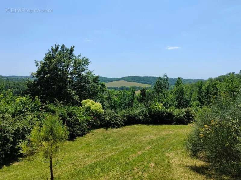 Comme un petit air de provence à 10mn d'Auch - photo 5