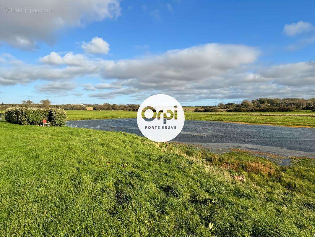 Terrain à BAZINGHEN