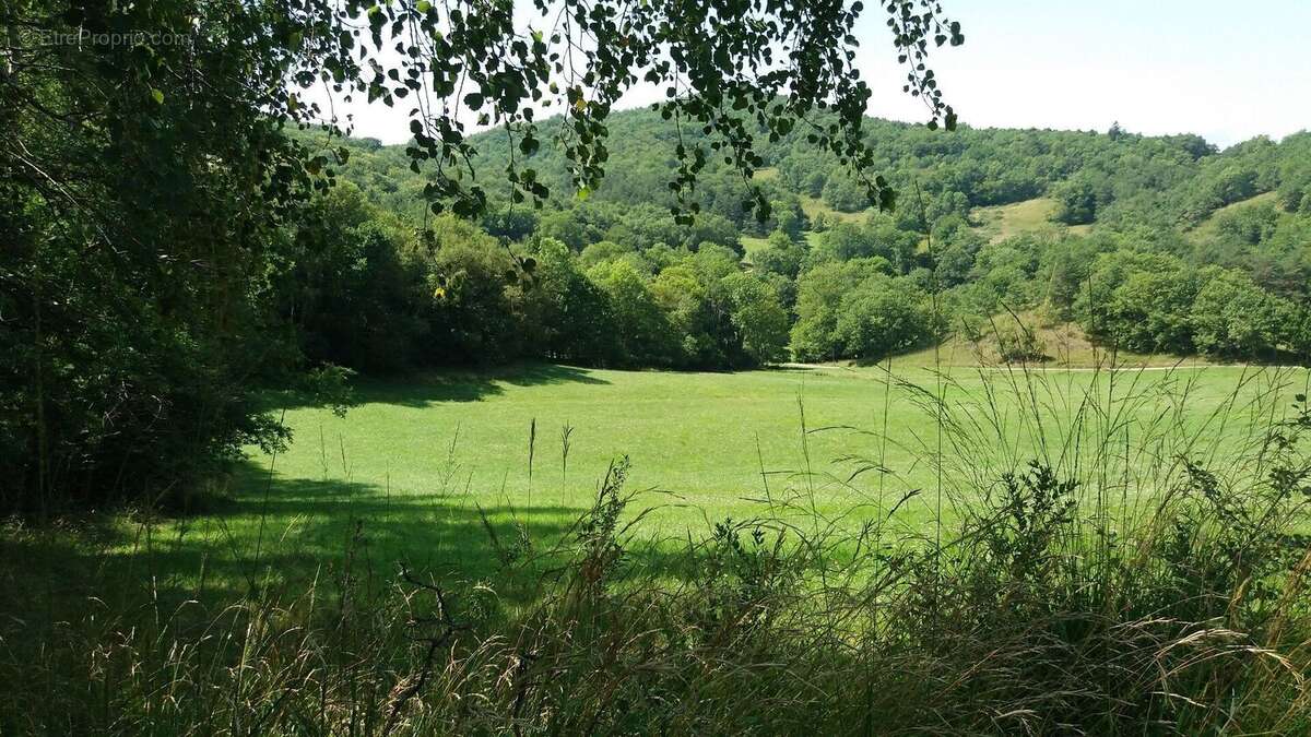 Exceptionnel !!! Ensemble immobilier sur 93 HA de terres avec ruisseau , sources ... - photo 14