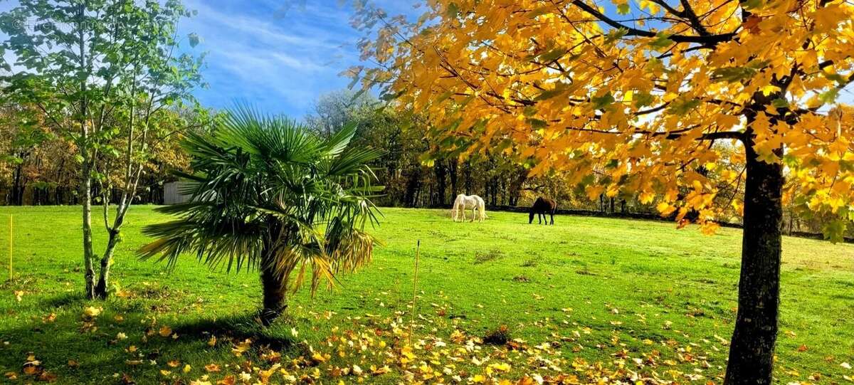 Maison à SAINT-AVIT-SENIEUR