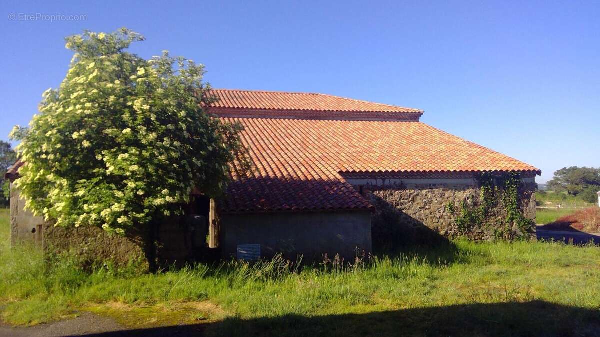 Photo 2 - Appartement à MAULEVRIER