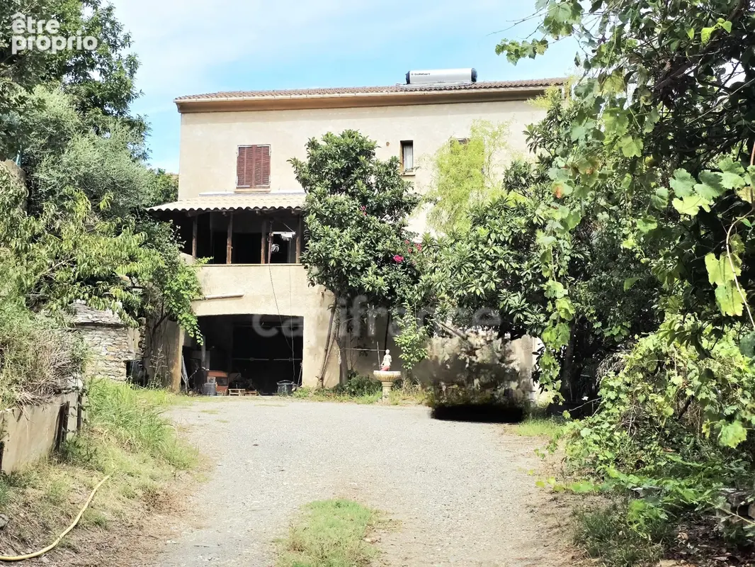 BORGO – Propriété à fort potentiel : 393 m² habitables + 2 980 m² de terrain – 395 000 € - photo 2