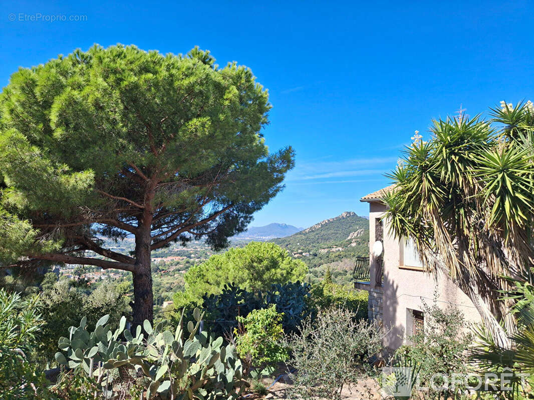 Maison à HYERES