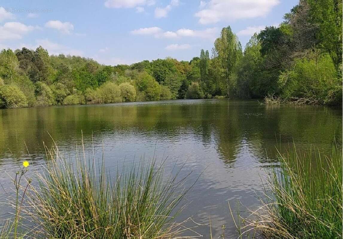 Photo 4 - Appartement à EUGENIE-LES-BAINS