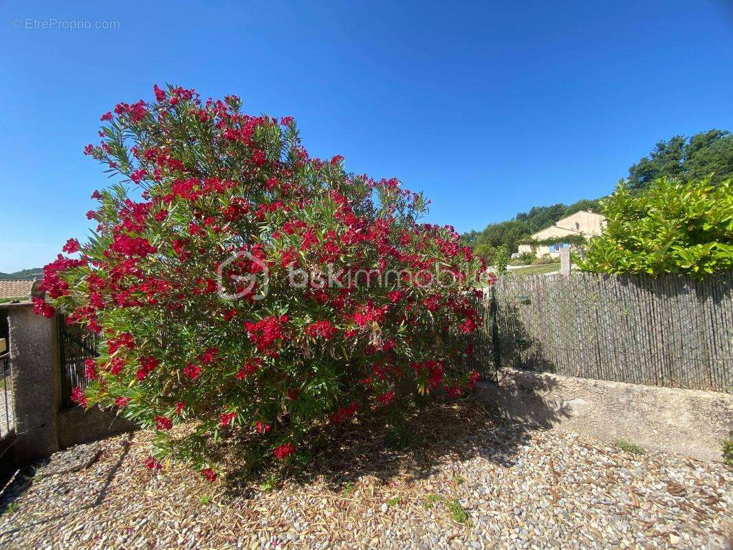 Jolie maison provençale de plain-pied lumineuse avec cheminée - 4 chambres avec garage aménagé et terrain en restanque clôturé d - photo 4