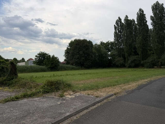 Autre à ENTRAIGUES