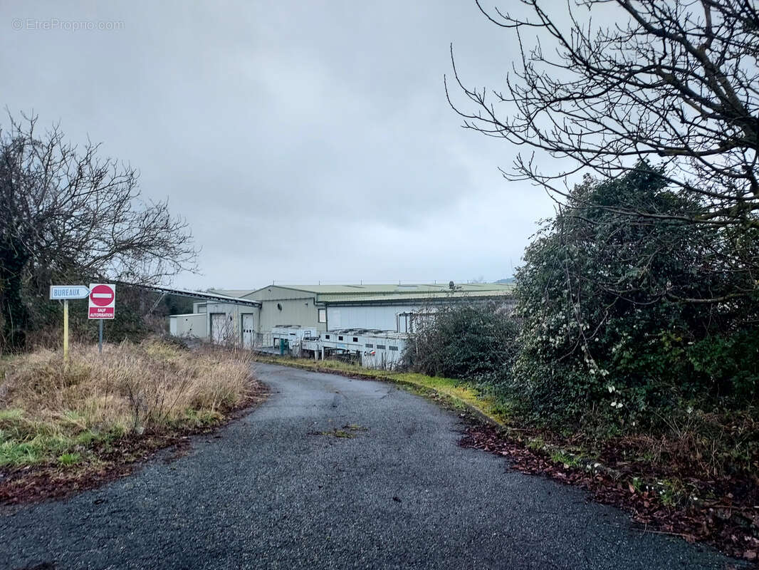Commerce à BOURGUEIL