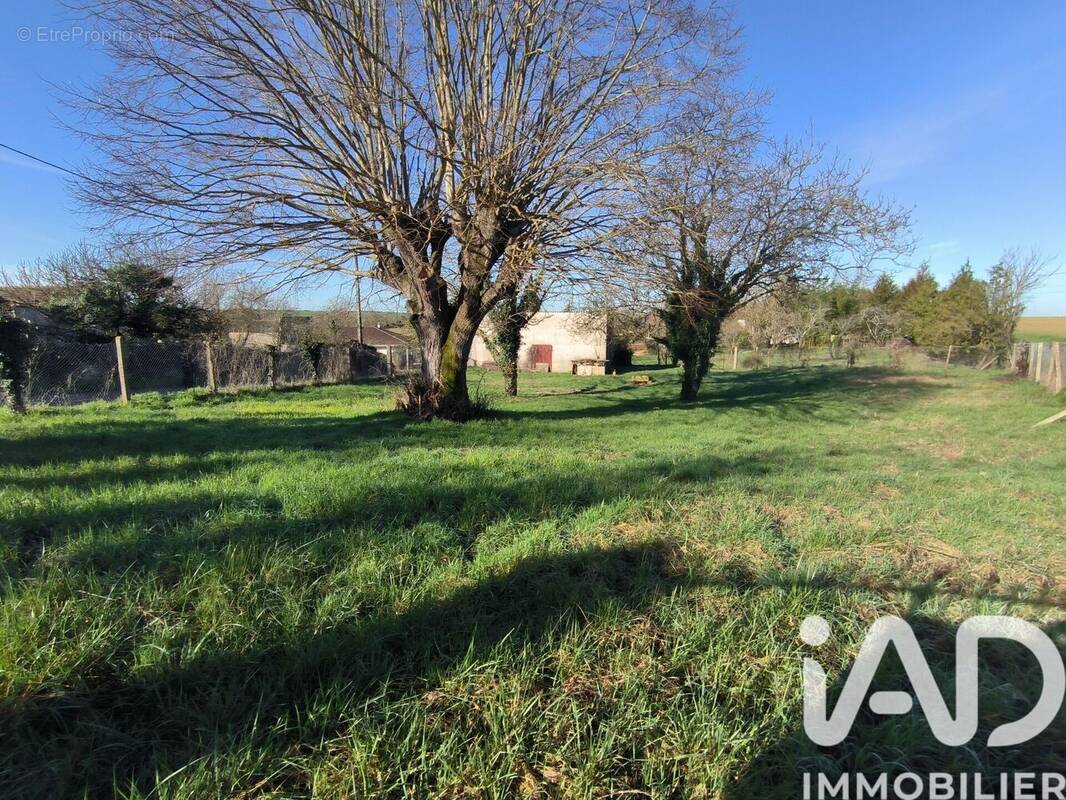 Photo 1 - Terrain à MONTAMISE