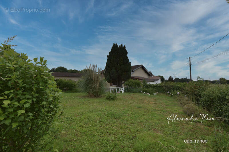 Maison à DOMPIERRE-SUR-VEYLE
