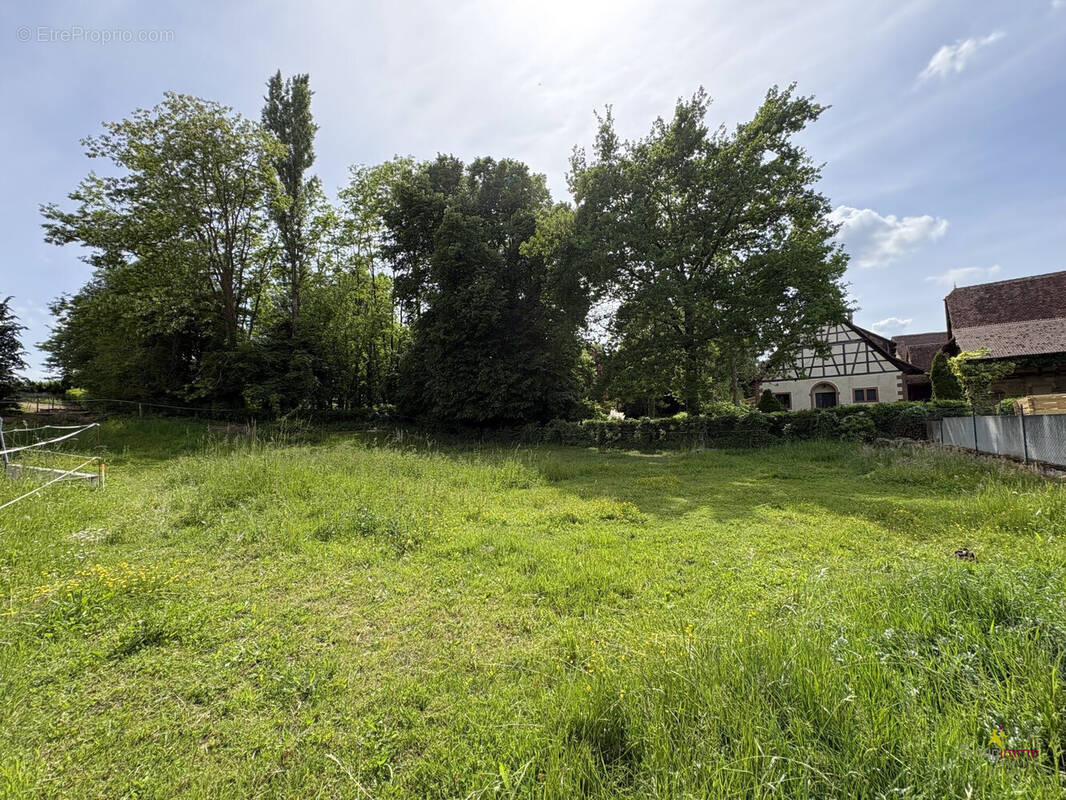 Terrain à ALTECKENDORF