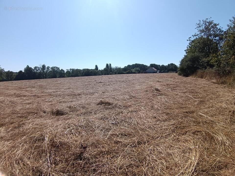 Terrain à MEZIDON-CANON