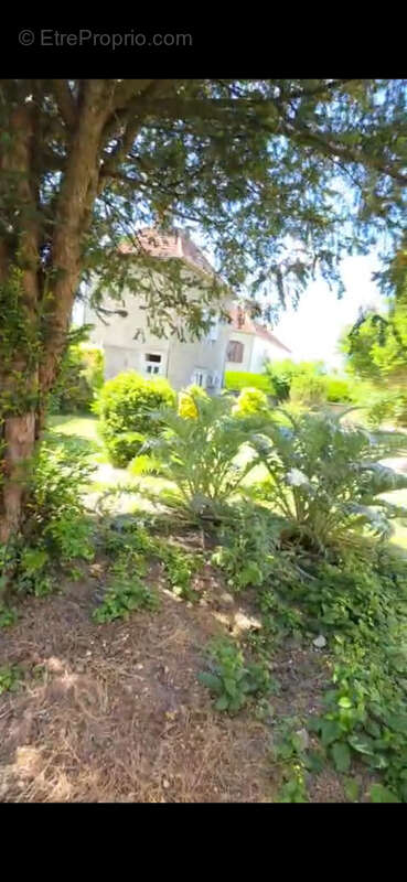Maison 285 m² à Troyes  - photo 4