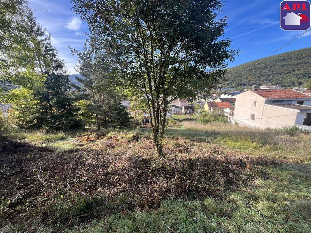 Terrain 539 m² à Lavelanet  - photo 3
