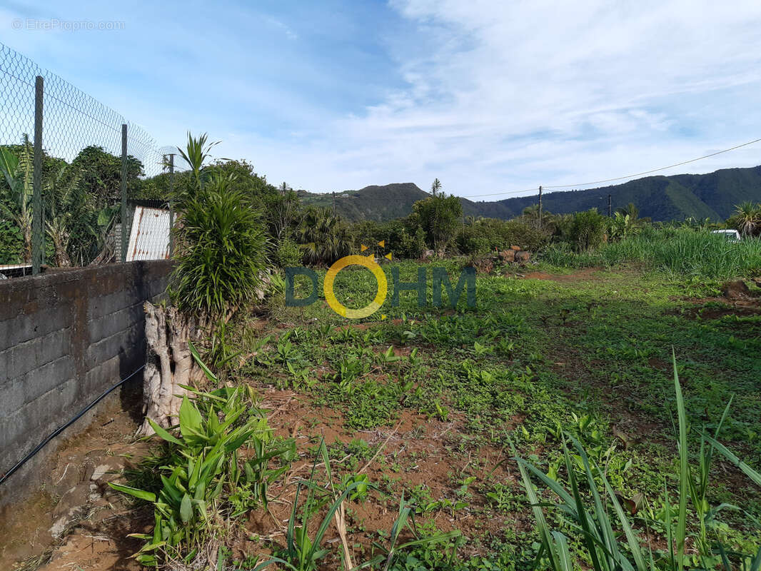 Terrain à SAINT-JOSEPH