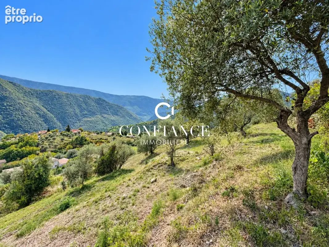 Terrain 6 400 m² à vendre à Pierrefeu (06910) - photo 5