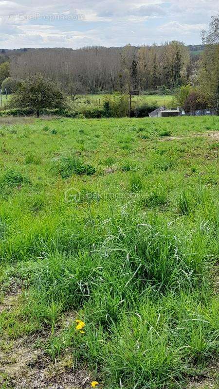 Terrain à CIVRAY-DE-TOURAINE