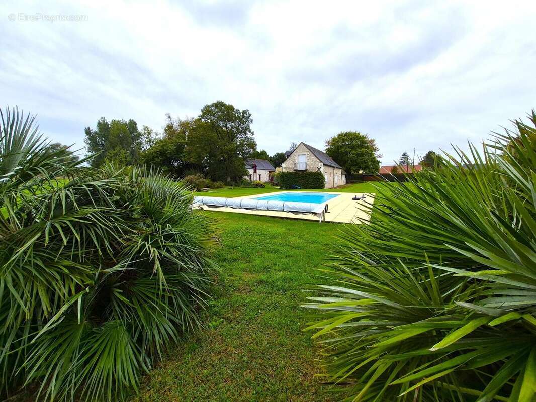 Photo 6 - Maison à MANTHELAN